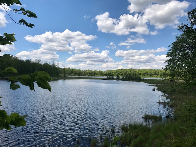 View of Twin Lakes. May 28th, 2017.