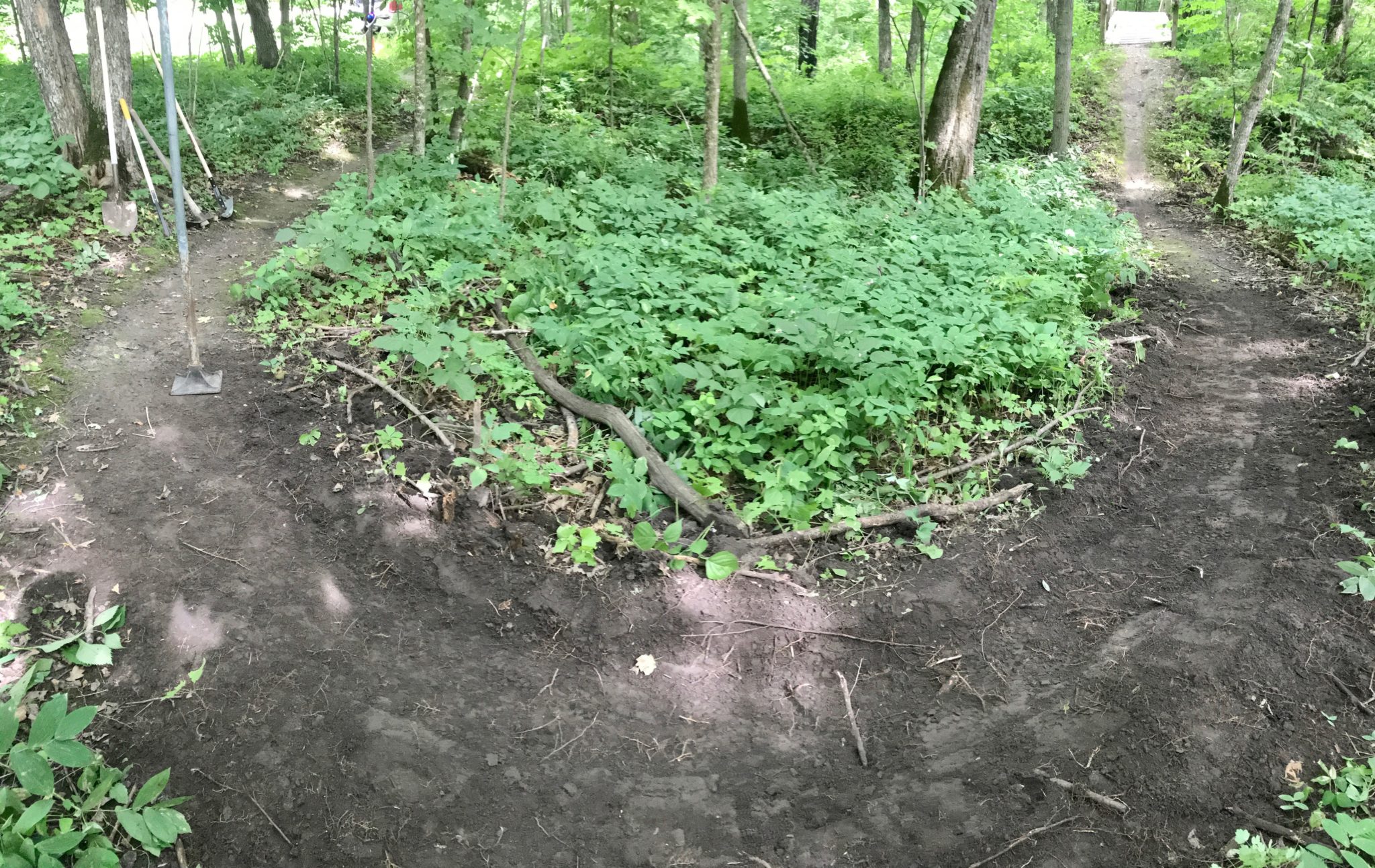 Trail work on Twin Lakes bridge section, July 24th, 2017. We are tuning on various sections of the course.