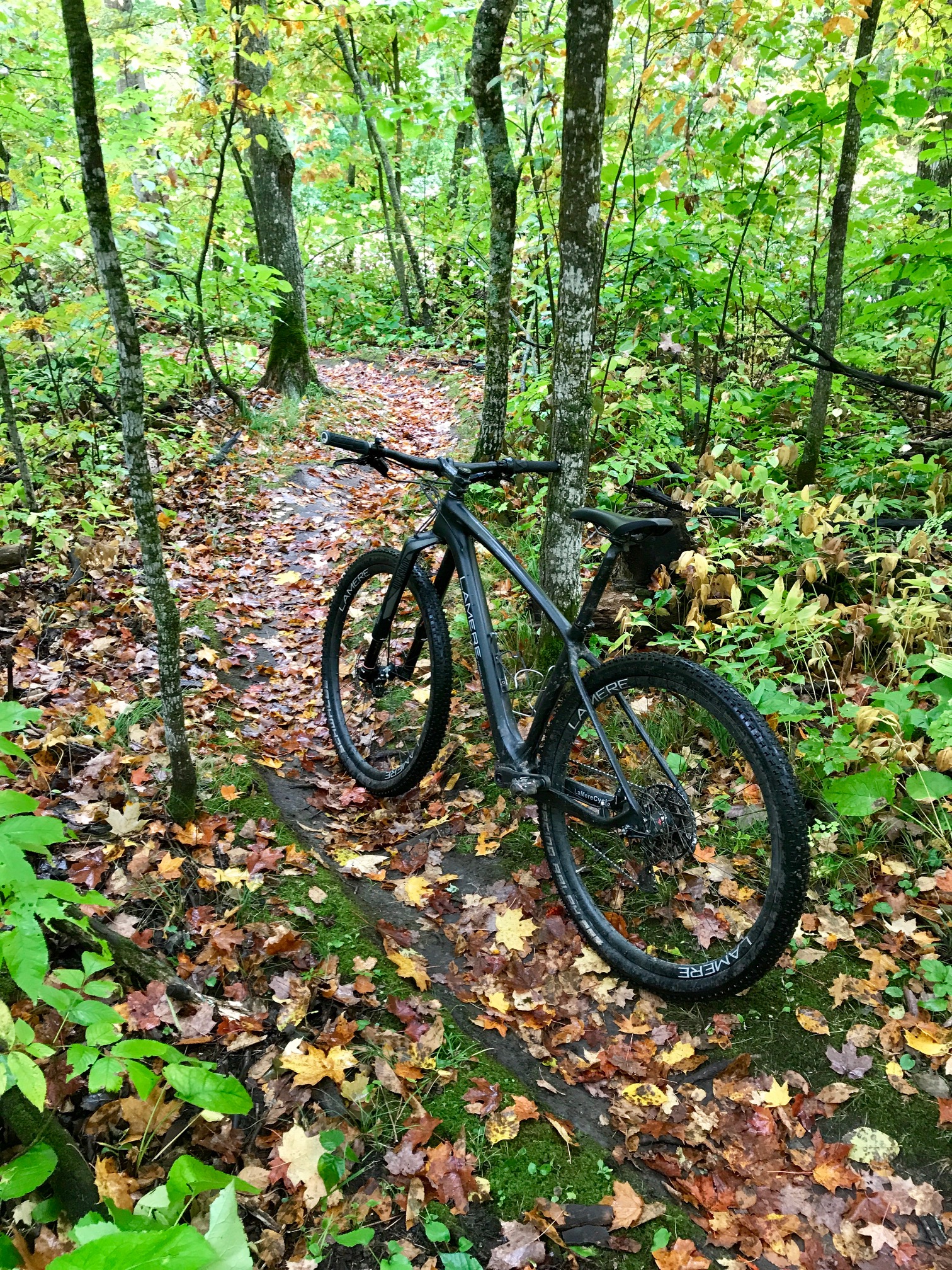 Leaf bed on the singletrack. Solid deck underneath. September 17th, 2017.