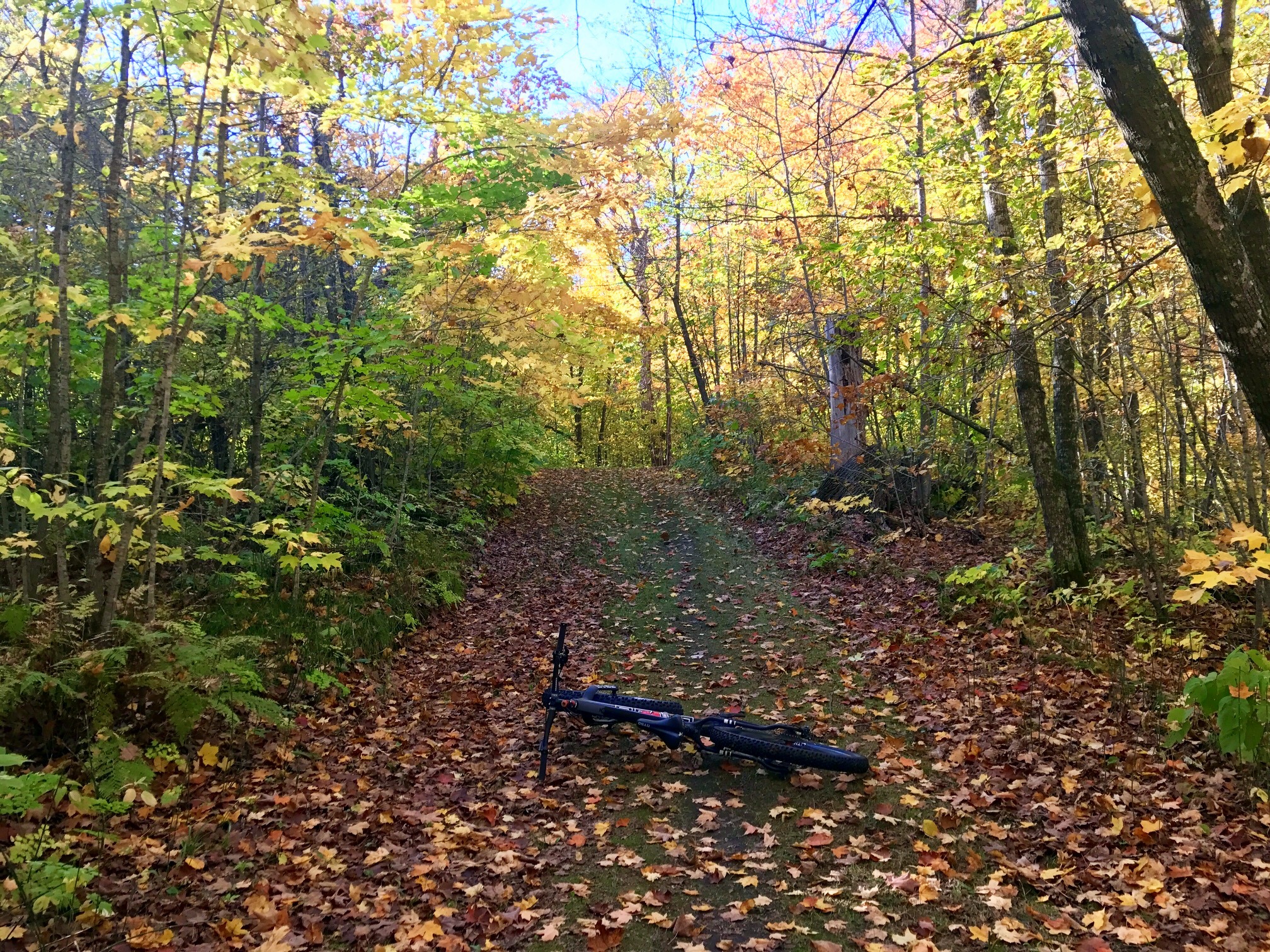 Fall riding, September 28th, 2017.