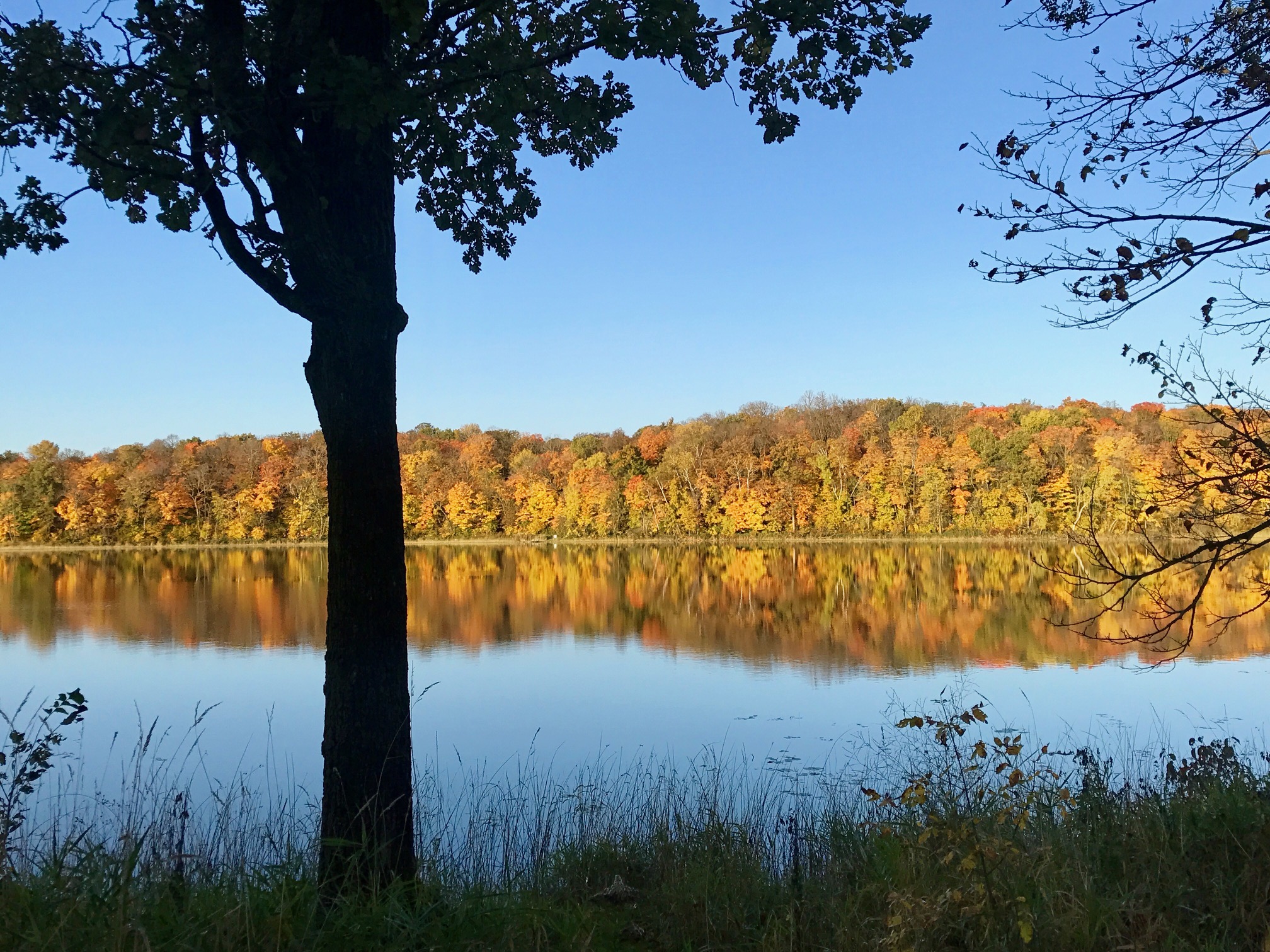 Little Sugarbush lake, September 28th, 2017.