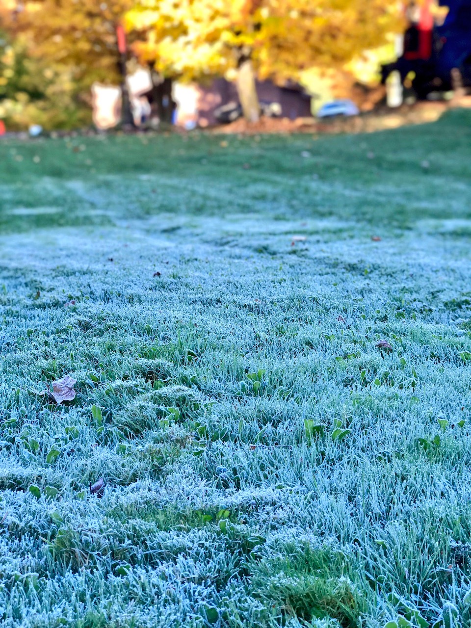 First touch of frost of the year on low lying areas and roof tops. September 29th, 2017.