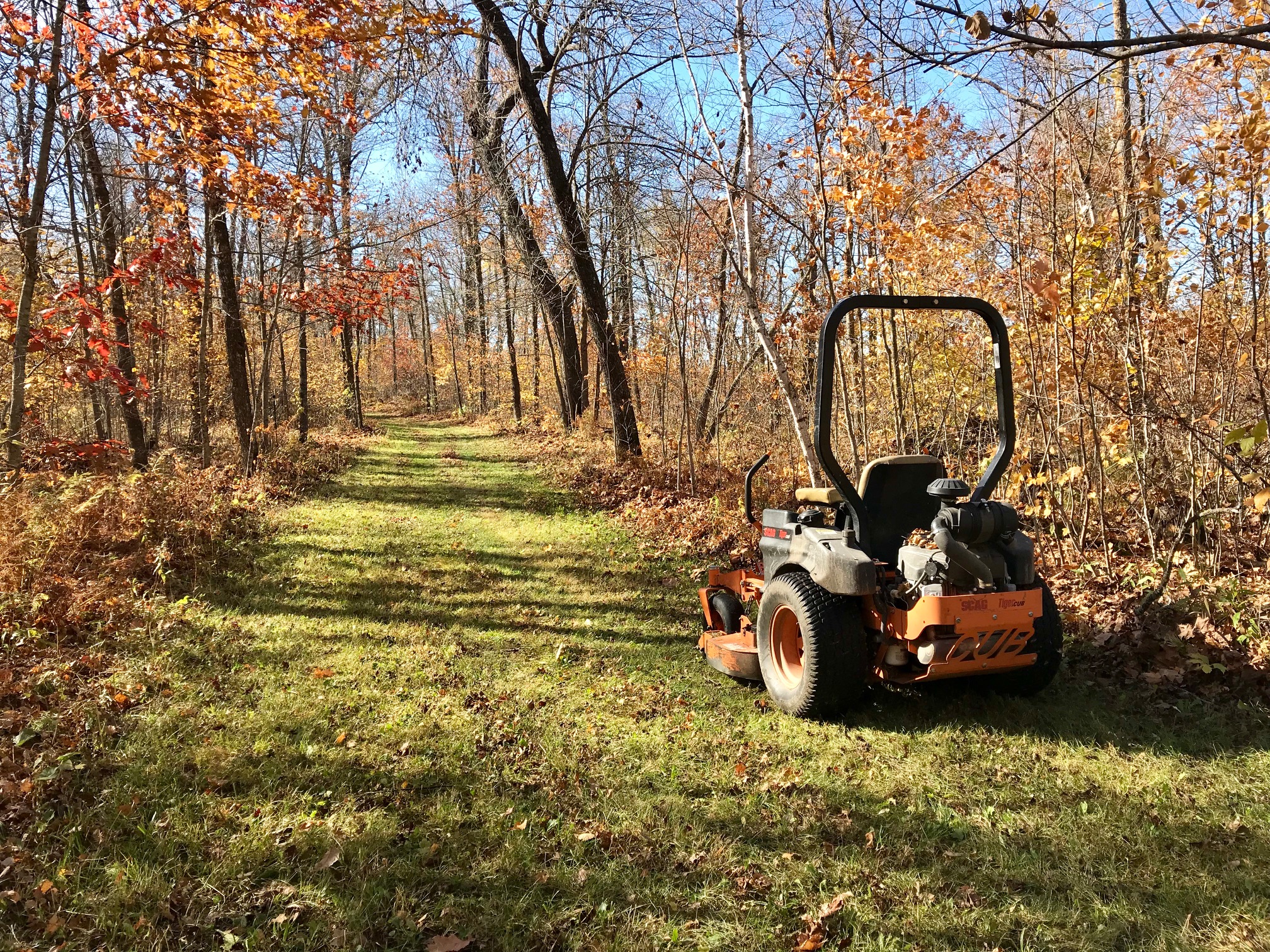 Fall grooming on Skaters Waltz, October 11th, 2017.