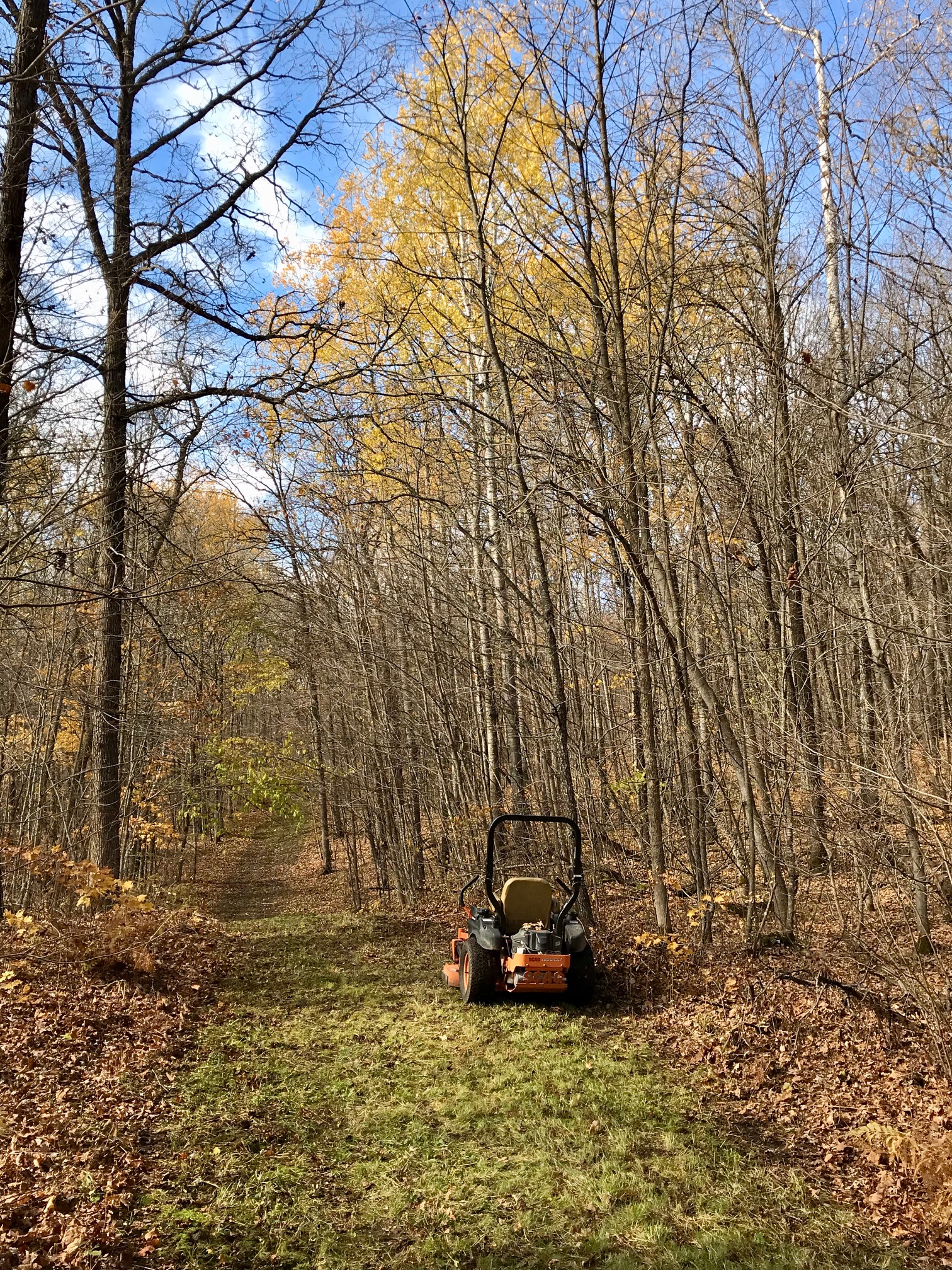 Fall grooming on North Loup, October 17th, 2017.