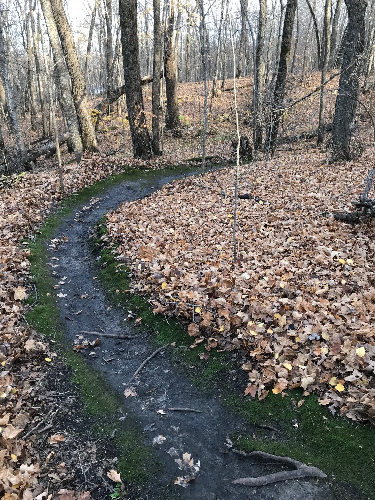 Cleared track! October 18th, 2017.