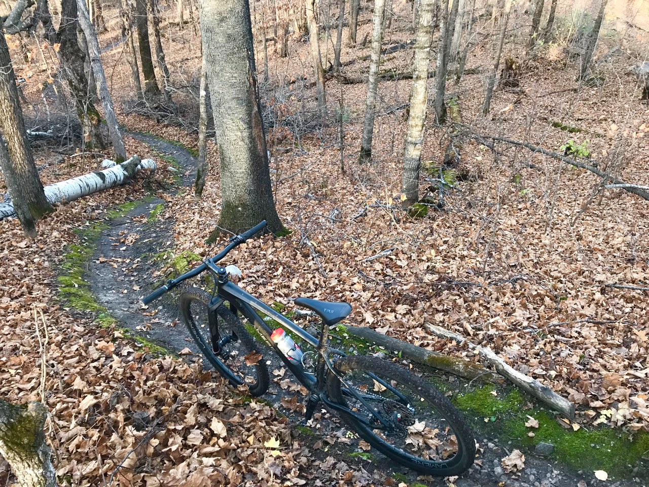 Last downhill segment on Twin Lakes singletrack, October 19th, 2017.