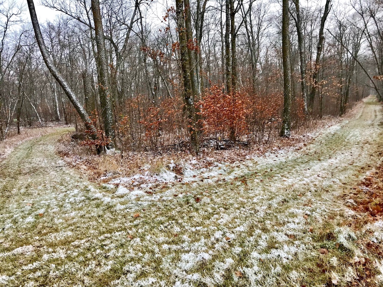 Intersection of Sukkerbusk and Mother North Star as snow was starting to fall. October 26th, 2017.