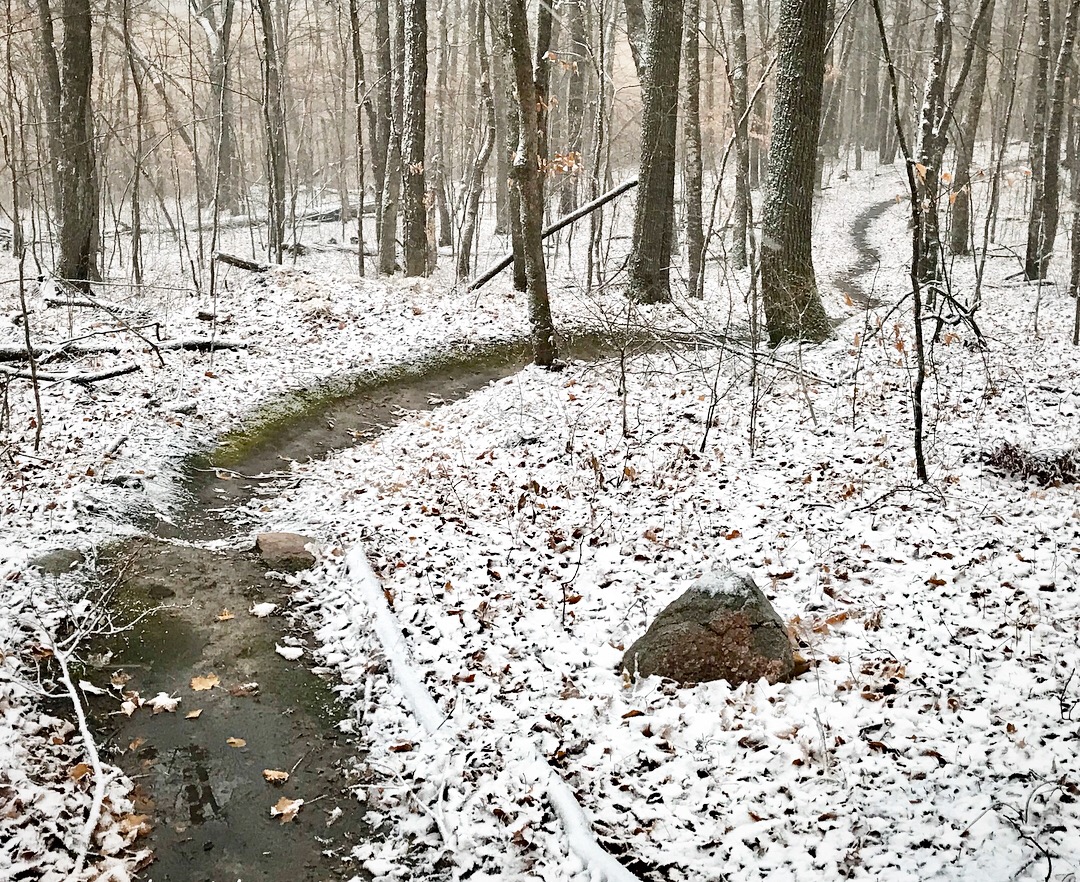Snow started to cover up the forest floor late afternoon on the singletrack. October 26th, 2017. Mountain bike trails now closed for the season. Open again Thanksgiving week.