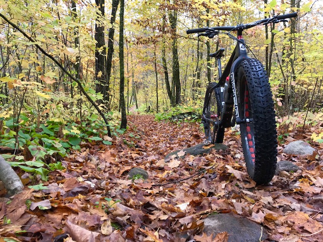 Leafy singletrack, October 2nd, 2017.