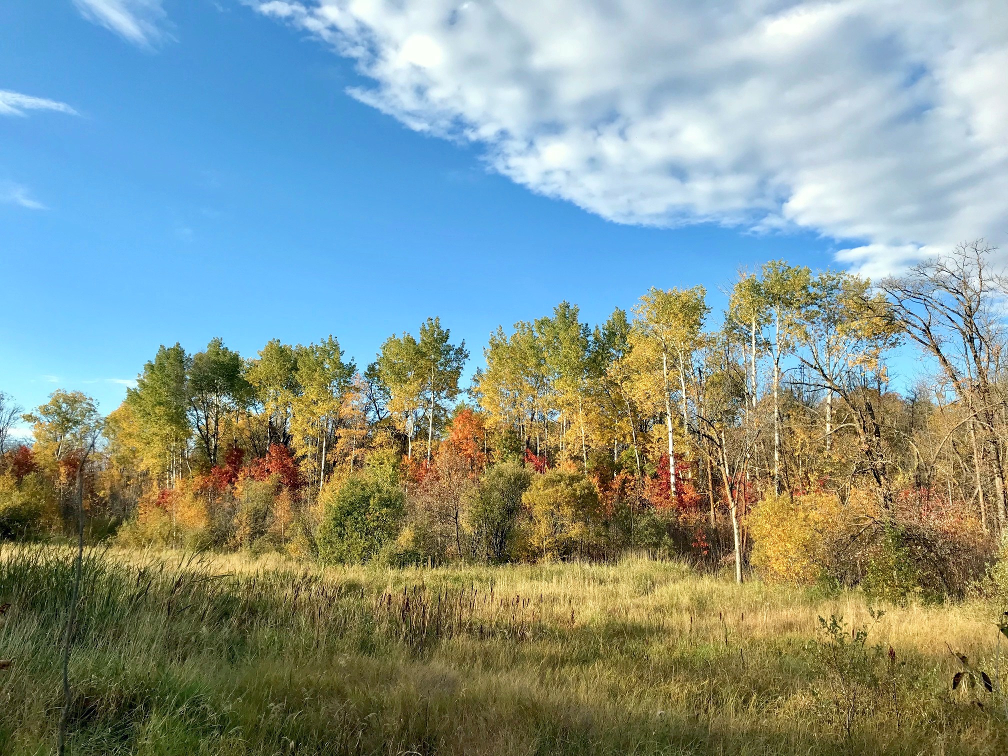 Fall scene at Twin Lakes crossing, October 6th, 2017.