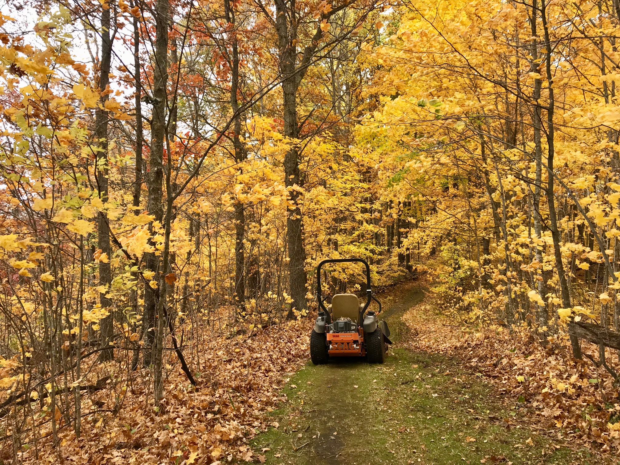 Fall grooming on Mother North Star, October 9th, 2017.