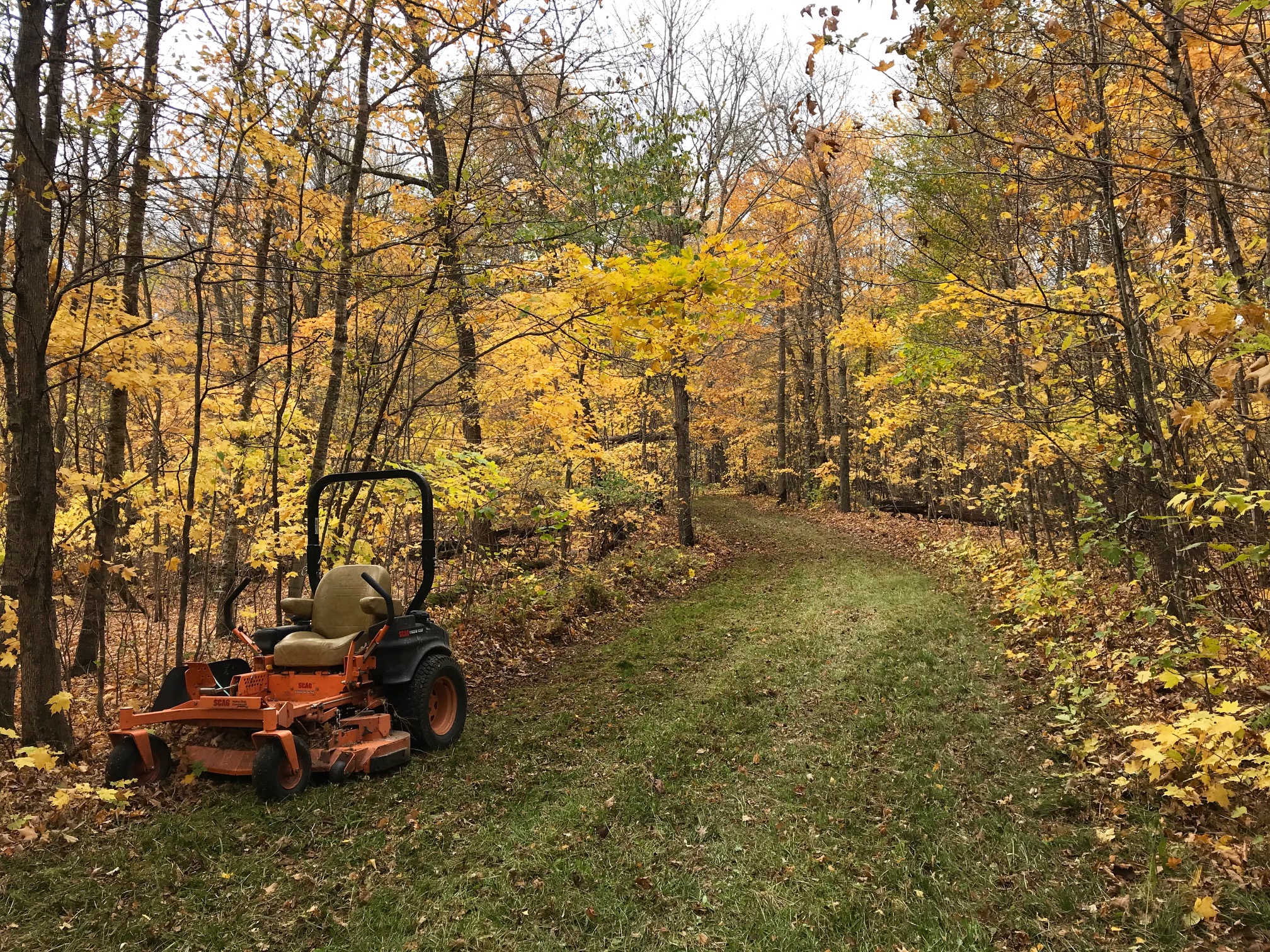 Fall grooming on North Loup, October 9th, 2017.