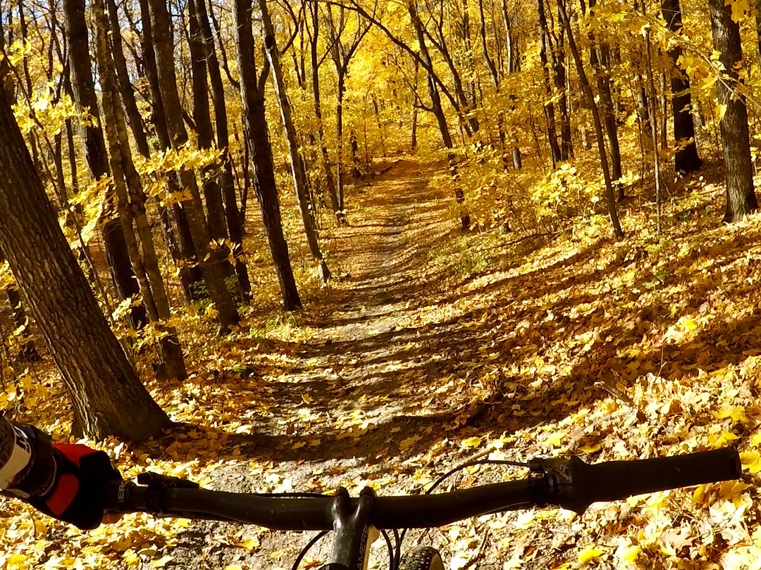 Golden tunnel on the mountain bike course. October 8th, 2017.
