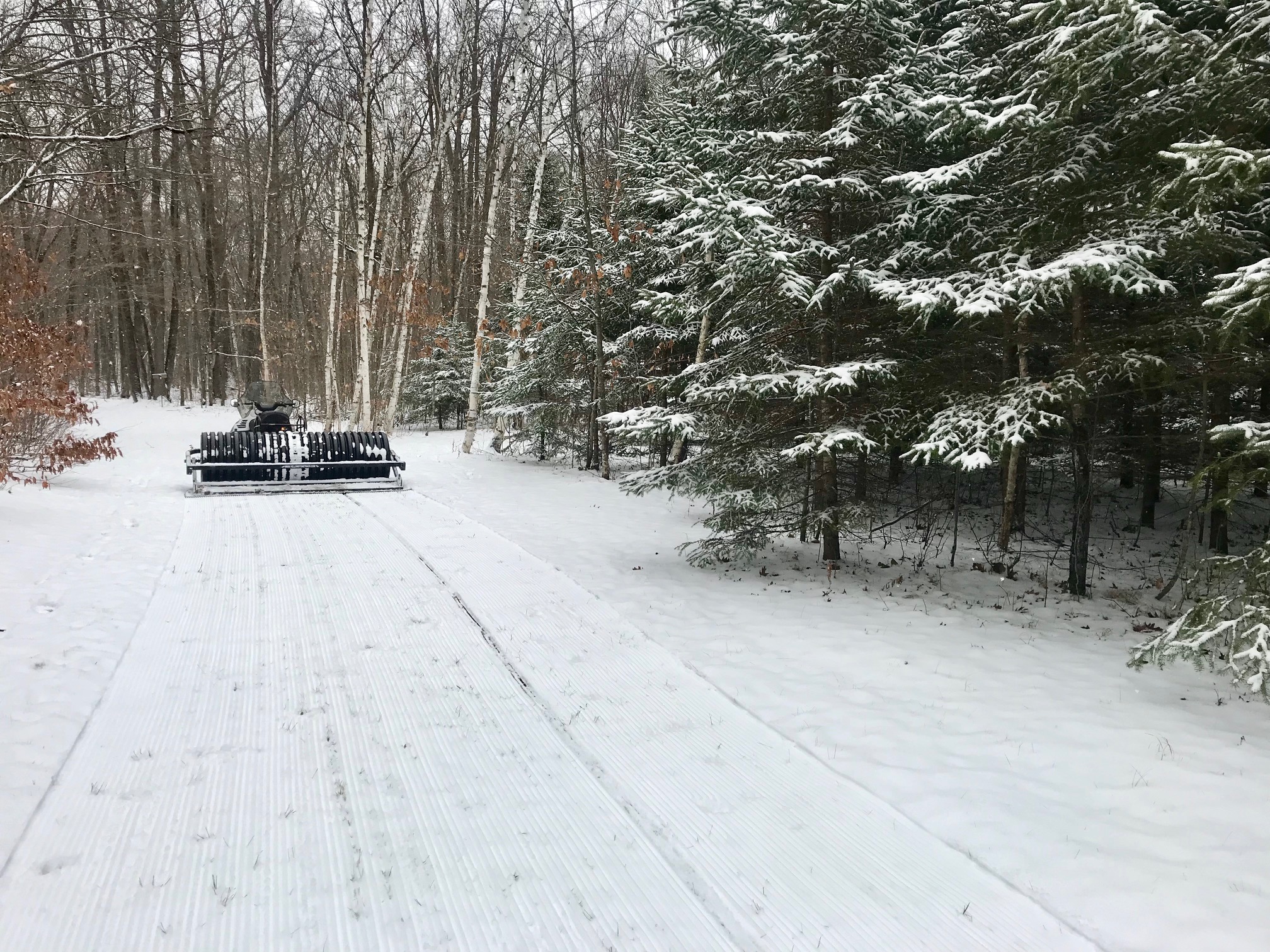 Grooming through the skinny field, November 1st, 2017.