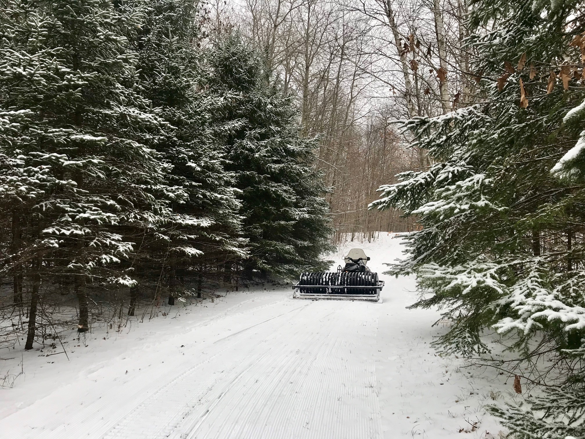 Grooming through the skinny field, November 1st, 2017.