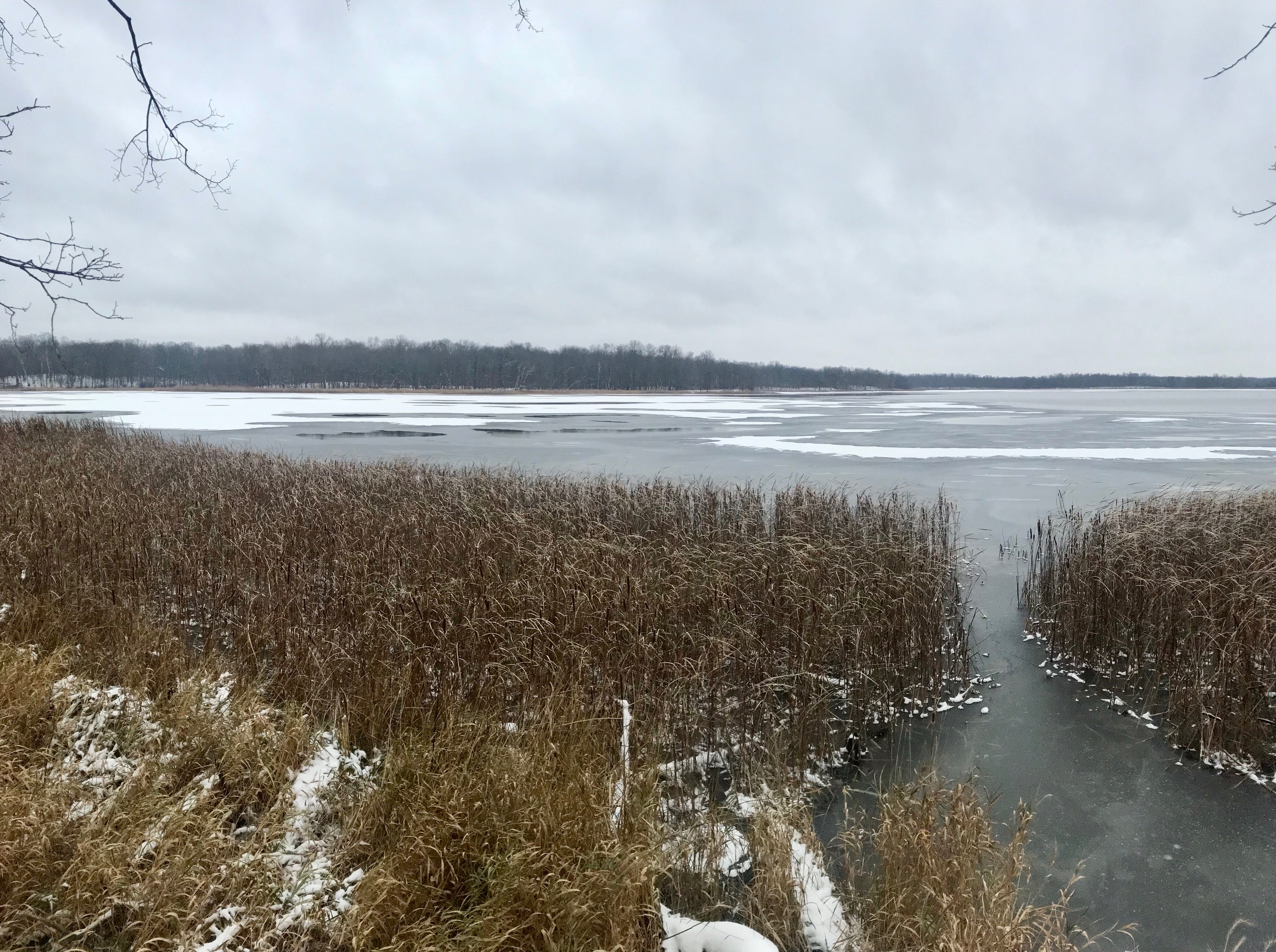 Island lake frozen over 75%, November 1st, 2017.