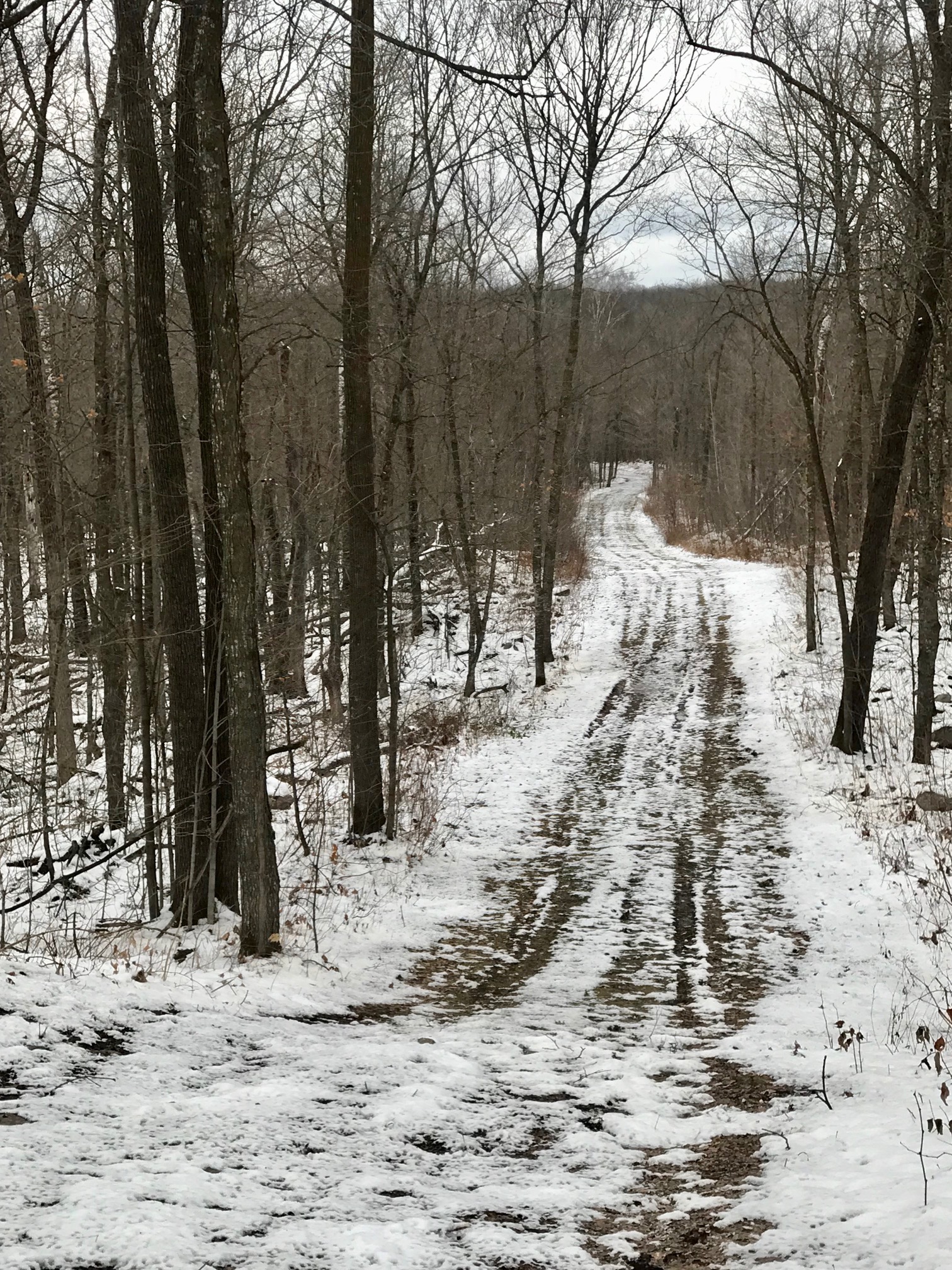 Eagle View, Twin Lakes ski trail, November 5th, 2017.