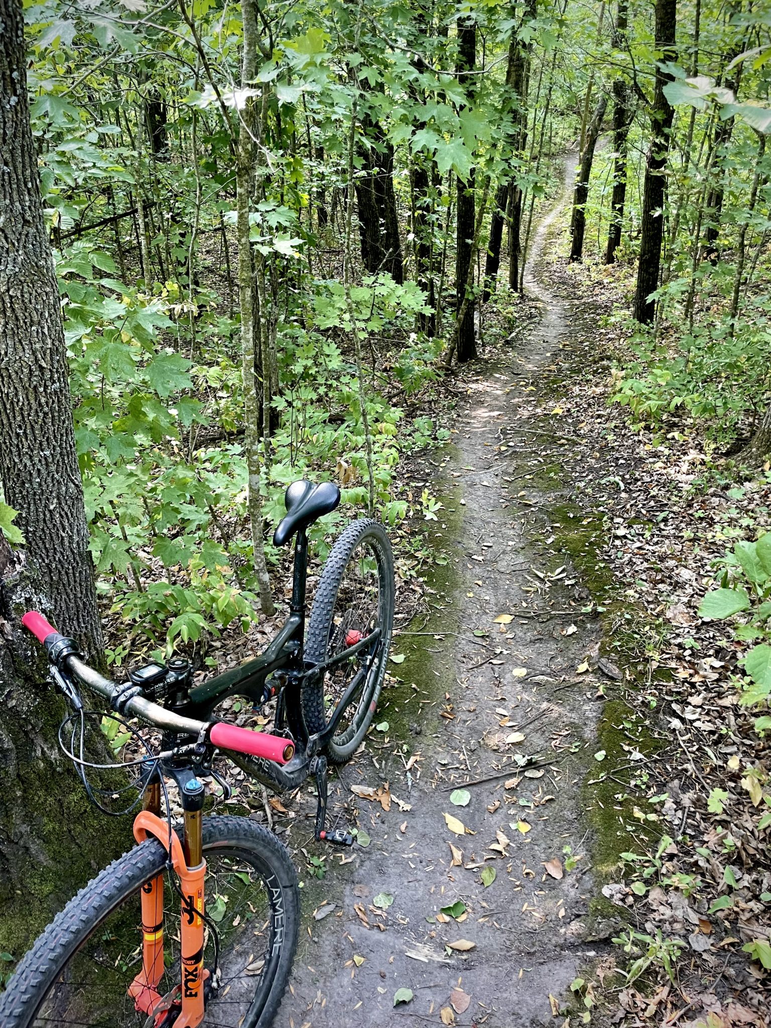 Mountain Bike Trail Report